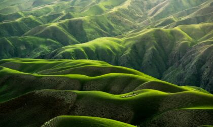 Photograph of a green landscape