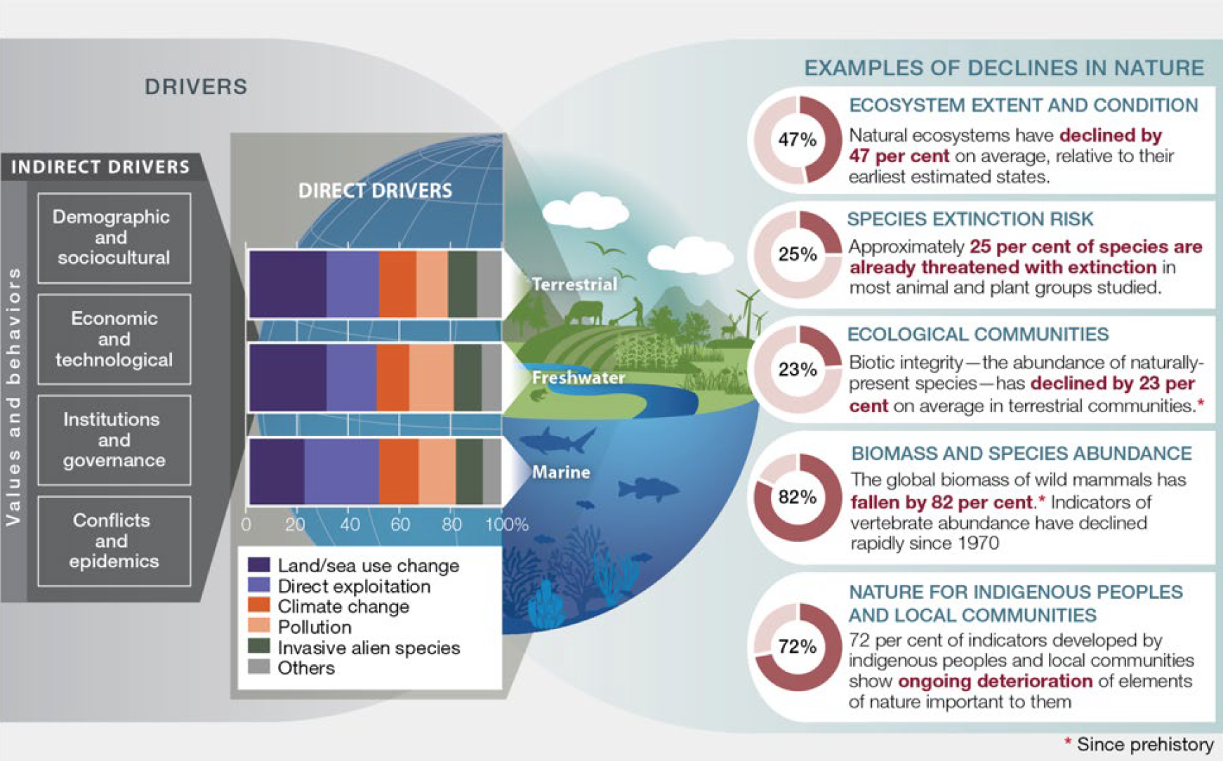 Direct and indirect drivers of biodiversity loss, and examples of decline in nature due to these drivers